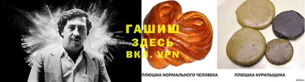 молекула духа Алзамай