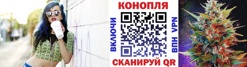 продажа наркотиков  MEGA маркетплейс  Конопля THC 21%  Циолковский 